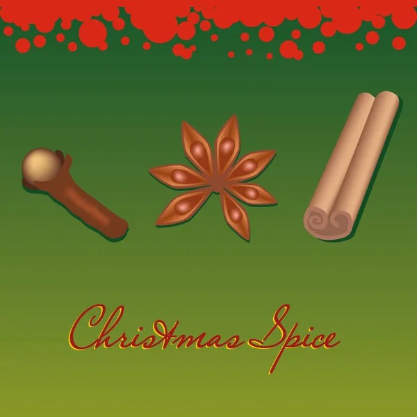 Karácsonyi fűszer — Stock Vector