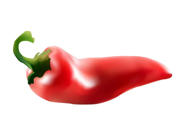 Papryka chili — Wektor stockowy