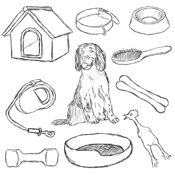 Collection of dog supplies — Stock Vector