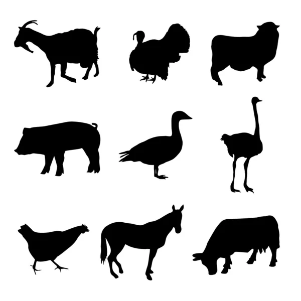 Kolekcja zwierząt gospodarstwa — Wektor stockowy
