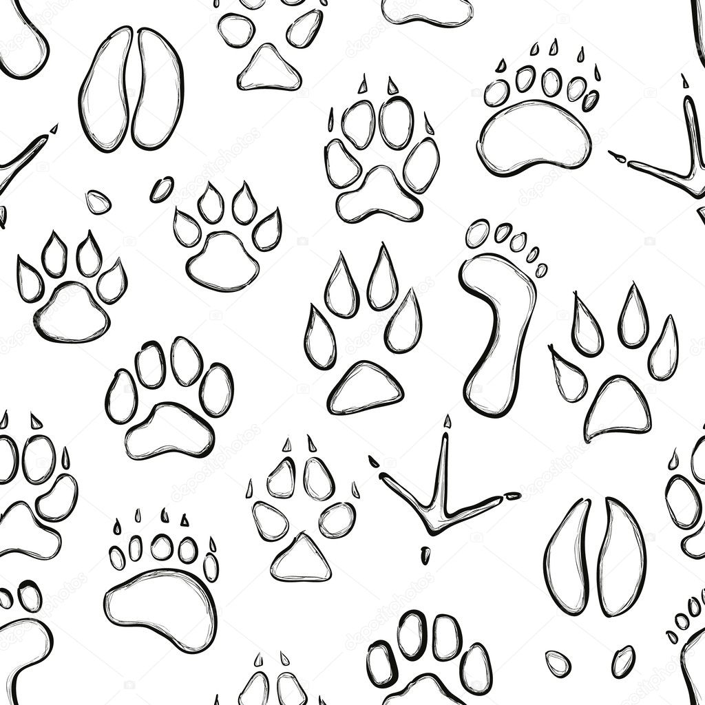 Animal paw seamless pattern