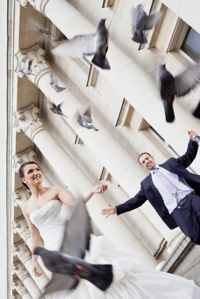 Felice sposa e sposo colombe — Foto Stock