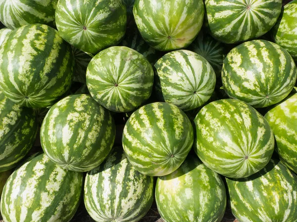 Watermeloenen heap Rechtenvrije Stockfoto's