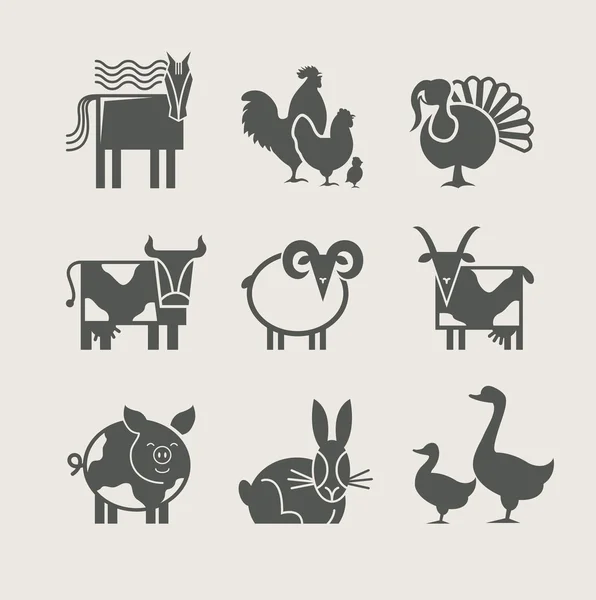 Home animal set icon — Stock Vector