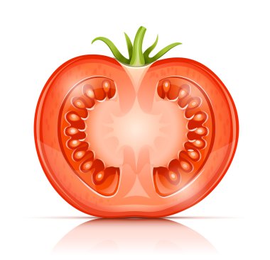 Tomato cuted half-in-half clipart