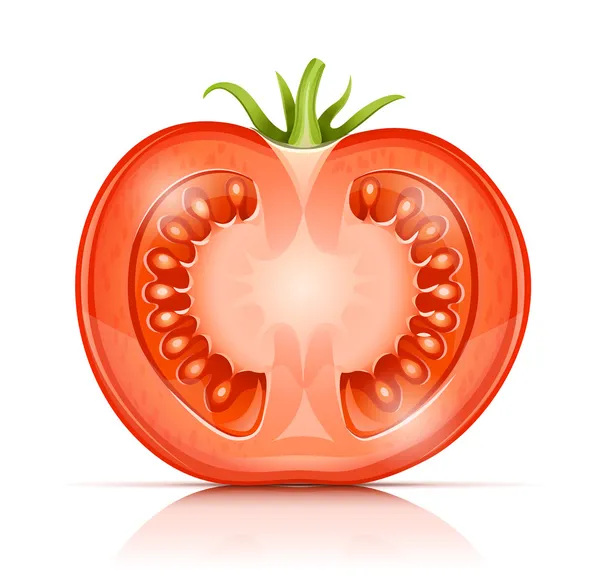 Tomate coupée à moitié en deux — Image vectorielle