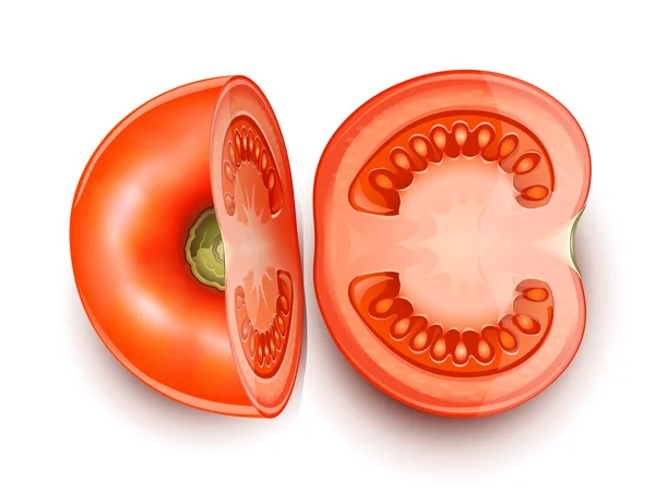 Tomat dipotong dalam dua bagian - Stok Vektor