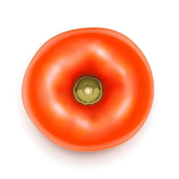 Côté supérieur tomate — Image vectorielle