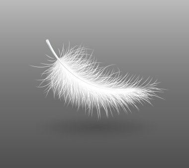 Feather falling light small white swan clipart