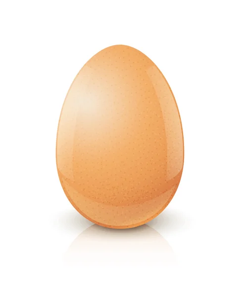Tavuk yumurta — Stok Vektör