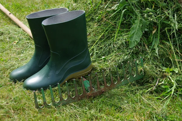 Trädgårdsmästarens verktyg — Stockfoto