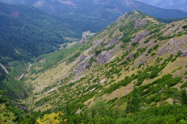 The mountain slope in the Tatra Mountains