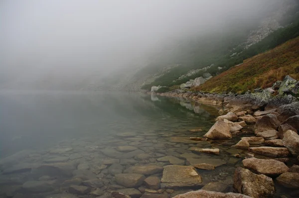 Damm i Tatrabergen Stockbild