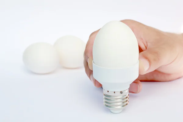 Ei in de basis van energiebesparende lamp — Stockfoto