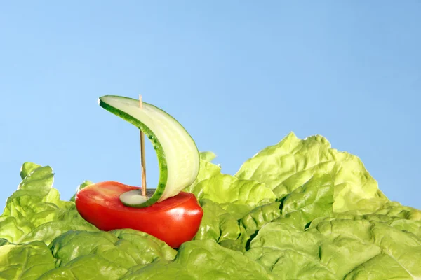 Bot, taze domates ve salatalık — Stok fotoğraf