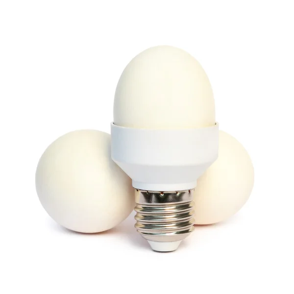 Ei in de basis van energiebesparende lamp — Stockfoto