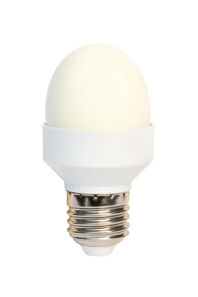 stock image Egg in the base of energy-saving bulb