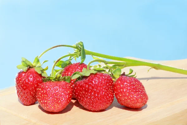 Sprig of strawberries on the sky background — Stock Photo, Image