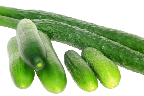 Drie soorten komkommer — Stockfoto