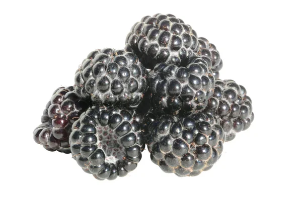 stock image Black raspberry