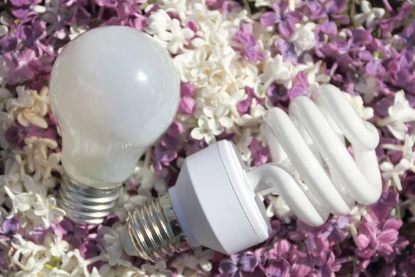 Light bulbs, lying on the flowers of lilac — Stock Photo, Image