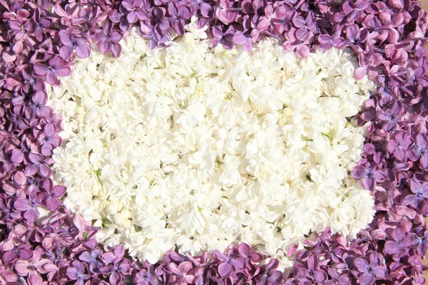 Овальна красива рамка з білих і темно-бузкових квітів — стокове фото