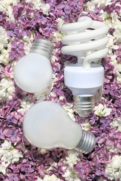 Light bulbs, lying on the flowers of lilac — Stock Photo, Image