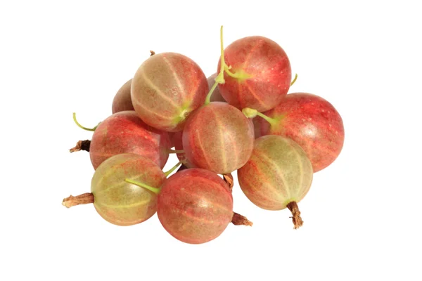 stock image Fresh gooseberries