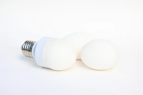 Vejce v základně energeticky úsporné žárovky — Stock fotografie