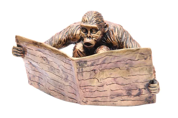 Reading monkey — Stock Photo, Image