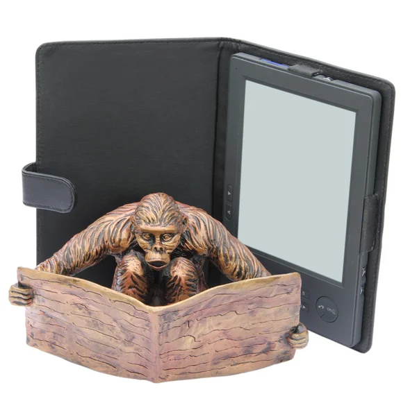 Macaco leitura — Fotografia de Stock