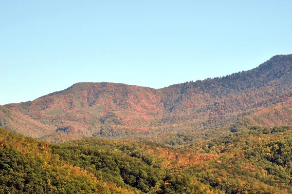 Outono nas montanhas. — Fotografia de Stock