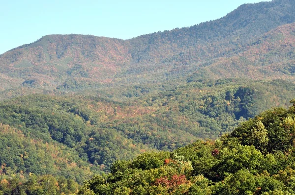 stock image Autumn in the mountains.