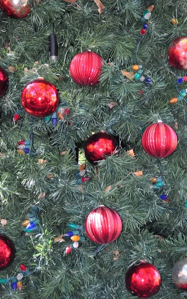 Текстура рождественского дерева . — стоковое фото