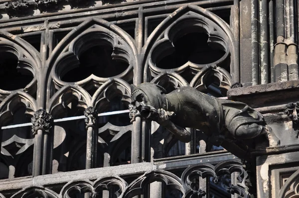 Köln katedrali — Stok fotoğraf