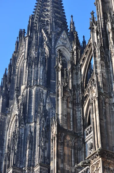 Katedralen i Köln — Stockfoto