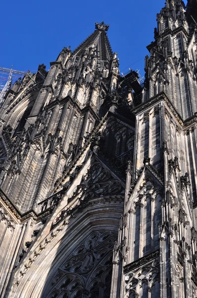 Katedralen i Köln — Stockfoto