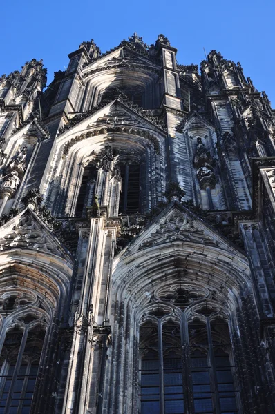Katedralen i Köln — Stockfoto