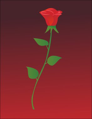  illustration of single red rose