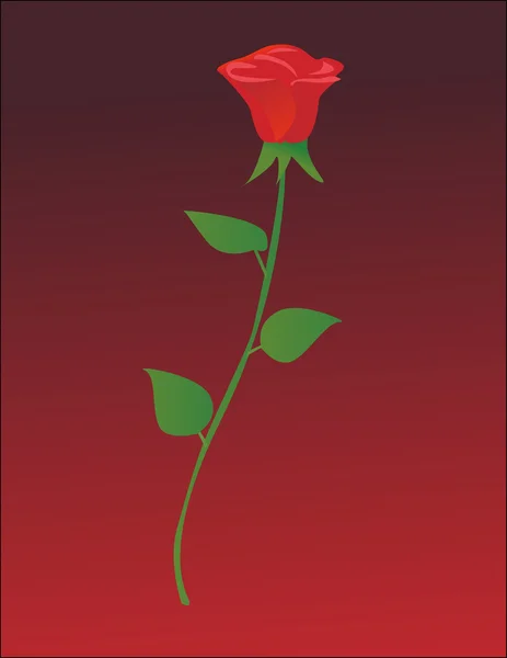 Illustration of single red rose — 图库照片