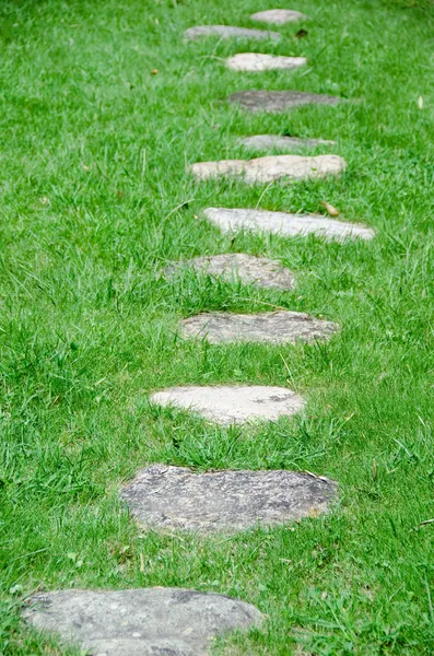 Stepping stones in a meadow — Stock Photo, Image