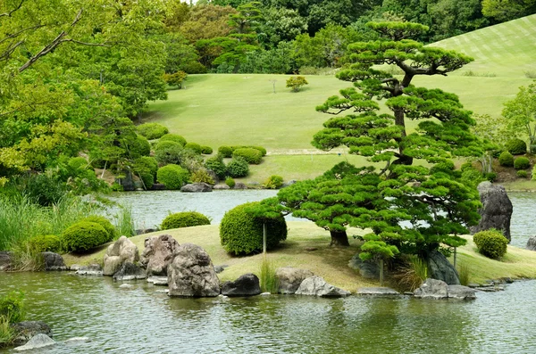 日本花园 — 图库照片
