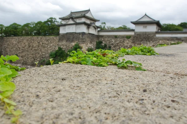 Mur autour du château d'Osaka — Photo