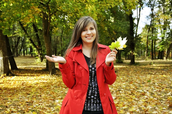 Girl with maple leaves — Stock Photo, Image