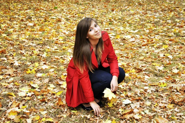 stock image Girl picks up the maple leaves