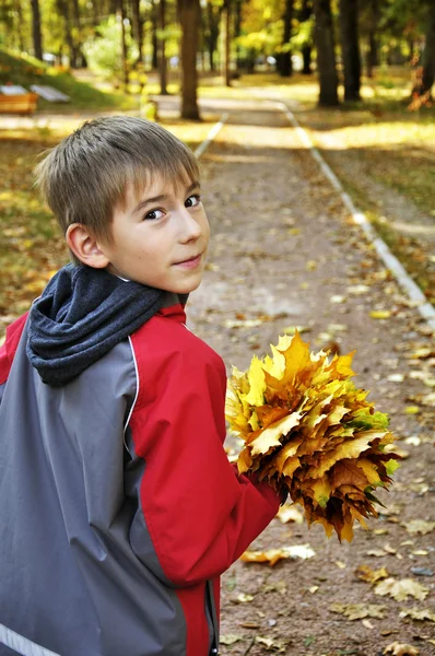 Хлопчик в осінньому парку — стокове фото