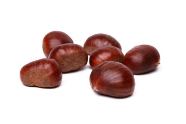 Chestnut1