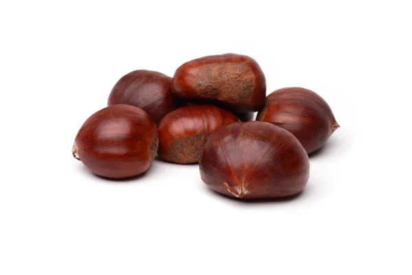 stock image Chestnut2