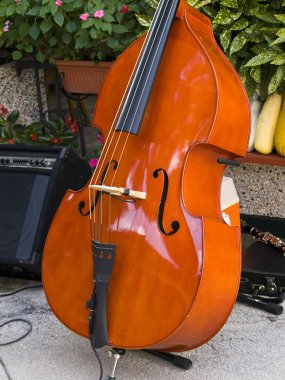 Double Bass clipart