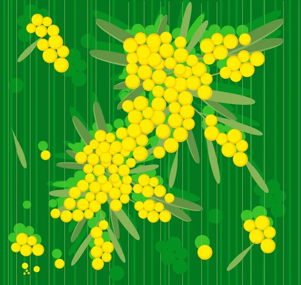 Весенние цветы мимозы — стоковый вектор